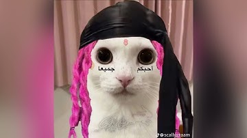 CLONNEX x SEMMYX — ROBLOX [SNIPPET]