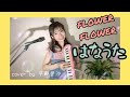 FLOWER FLOWER『はなうた』Cover by 平野里沙