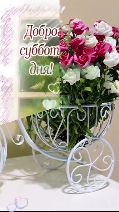 Суббота - праздник жизни😘💞 - YouTube