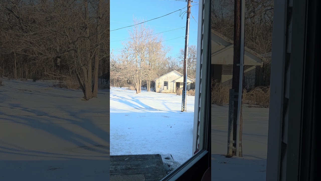 North Texas snow day getting warmer #snow #texas