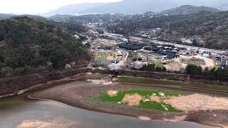 호두술산 영상