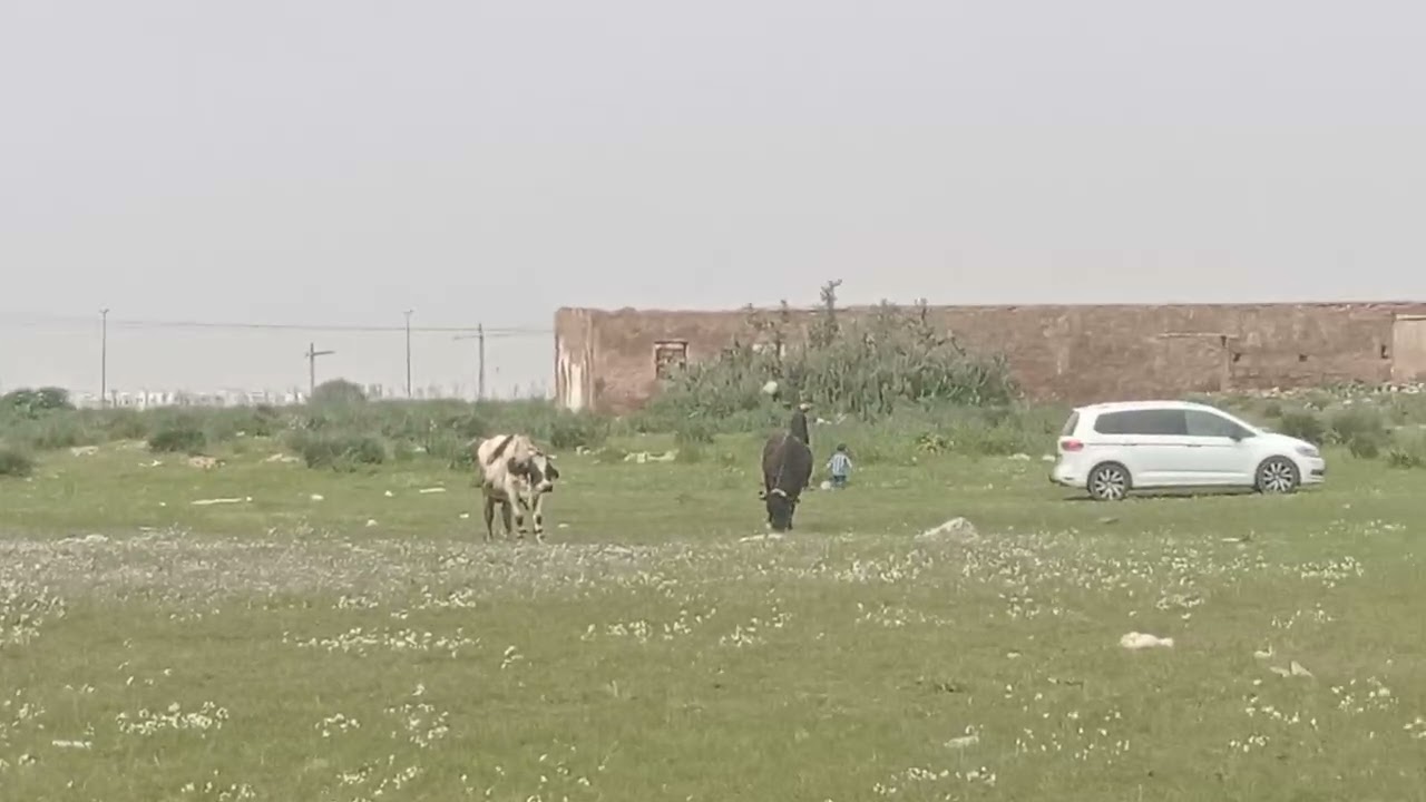 جولة في الطبيعة ❤️