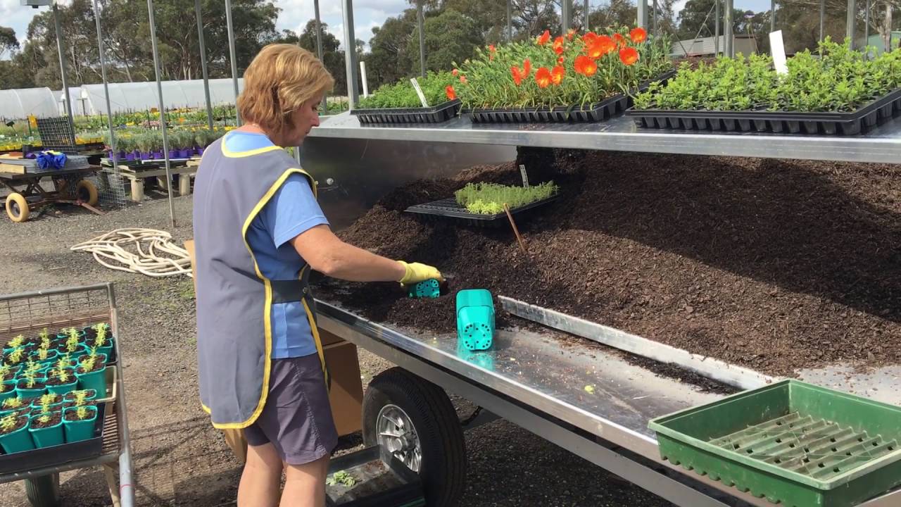 Deluxe Trailer Potting Station In Operation & Manual Potting Up
