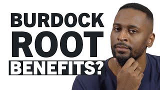 Burdock Root Benefits  Is Burdock Root The Real Deal?
