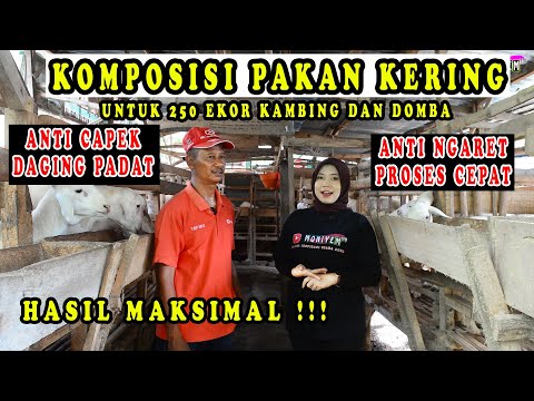 PERBANDINGAN KOMPOSISI PAKAN KERING UNTUK 250 EKOR KAMBING DAN DOMBA AGAR CEPAT GEMUK