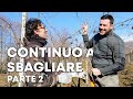 MEGA CAZZIATONI al VIGNETO