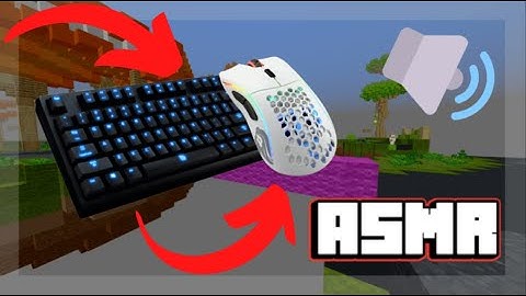 [240 fps] Keyboard + Mouse Sounds ASMR // Hive Treasure Wars
