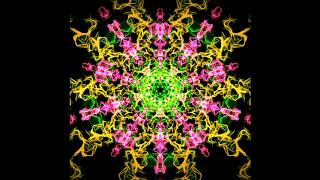 Video of Silk Interactive Generative Art.