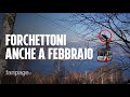 I forchettoni sulla funivia del Mottarone già a febbraio: il video esclusivo per Fanpage.it