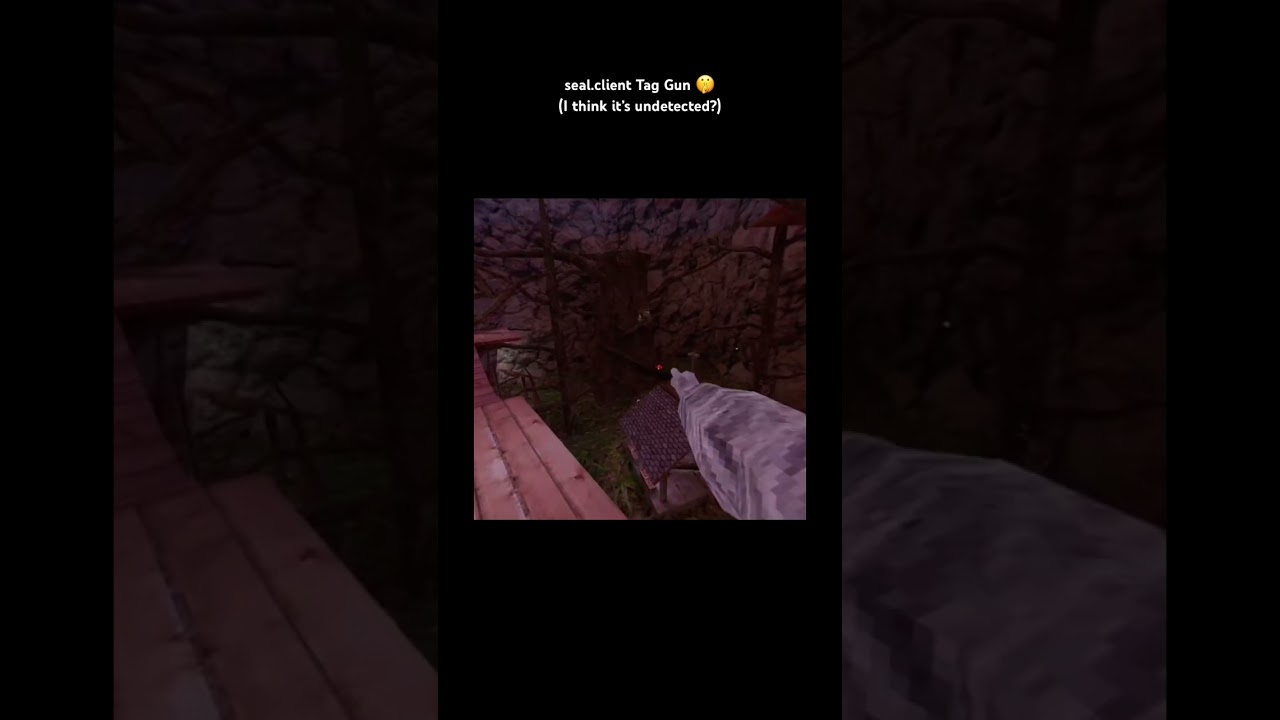 seal.client Almost Instant Tag Gun 🤫 || 