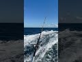 King mackerel fishing Stormy Petrel II moving spots mp3
