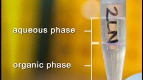 Extraction of DNA from paraffin-embedded tissues for conducting genetic and epigenetic studies