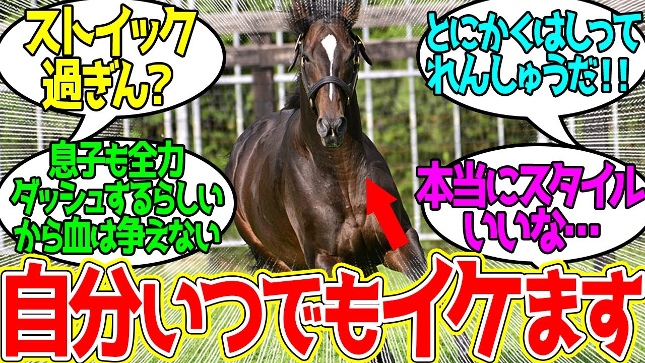 キズナ キャップ 2024年リーディングサイアー 2024年距離別