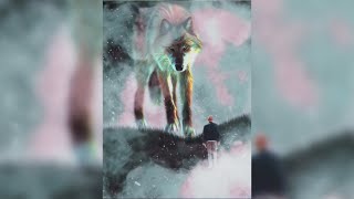 Giant Wolf Photo Manipulation | Tutorial | Picsart | 13