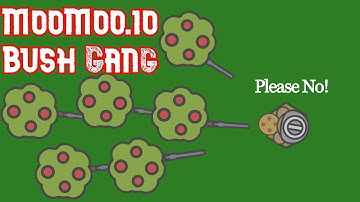 MooMoo.io - Trolling with BUSH GANG
