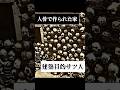 【人骨で作られた家】建築目的サツ人#都市伝説  #架空世界