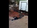 عثمان ذوالنون ردم للكل