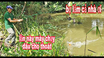 Câu cá,tiếp tục đánh cá rô phi ở những hồ lớn quen lộ bằng mồi tép rông | vui miền tây vlog