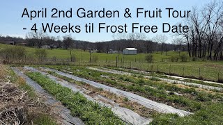 April 2nd Garden & Fruit Tour - 4 Weeks til Frost Free Date