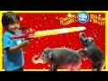 CIRCUS Ringling Bros. Barnum Bailey with Ryan ToysReview