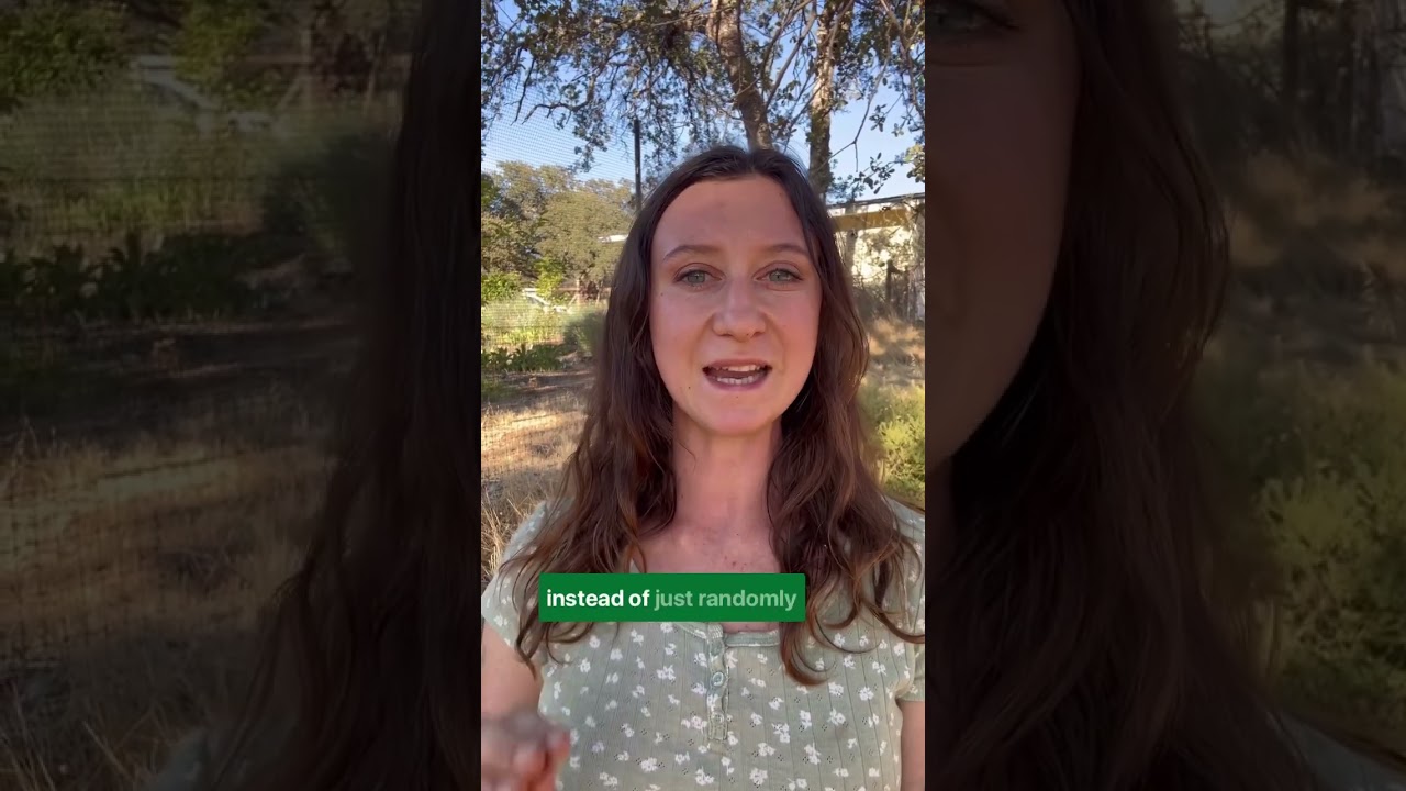 Horse deworming protocol 🦠💩 