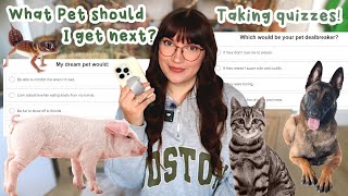 What pet should I get Taking quizzes to find out
