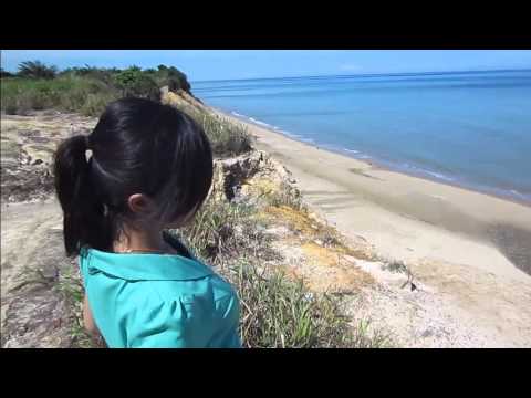 yang penting halal-wali band(original video klip)