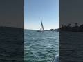 Dolce Vita Saturday #nature #marina #california #ocean #dolcevita