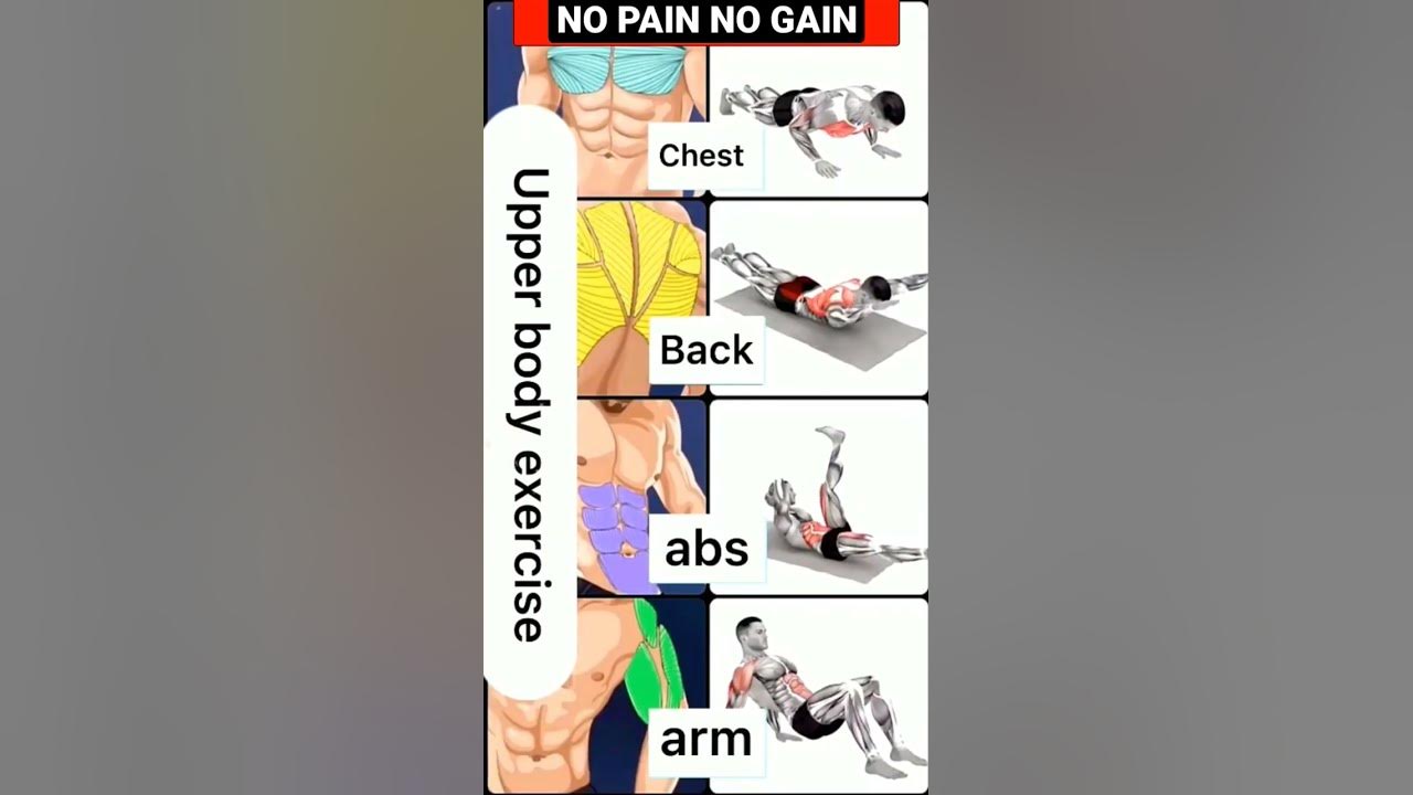 full-upper-body-workouts-best-upper-body-workouts-no-pain-no
