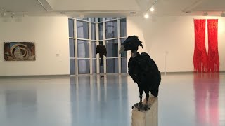 Boşluk Çankaya Belediyesi Çağdaş Sanatlar Merkezi Arttv