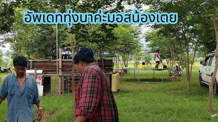 อัพเดททุ่งนาค่ะมดน้องเตย@ยายนุ้ยหัวล้าน #สาวน้อยเพชรบ้านแพง #ยายนุ้ยหัวล้าน 