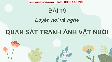 Giáo án powerpoint bài 19: Nói và nghe: Quan sát tranh ảnh vật nuôi | GA Tiếng Việt 2 Cánh diều