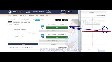trading rise fall strategy on binary.com, best rise fall strategy without loss