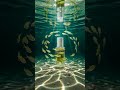 ✨ Celimax Noni Energy Ampoule ✨