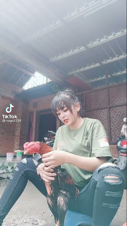 🔴Story WA --botoh cantik ayam jadi