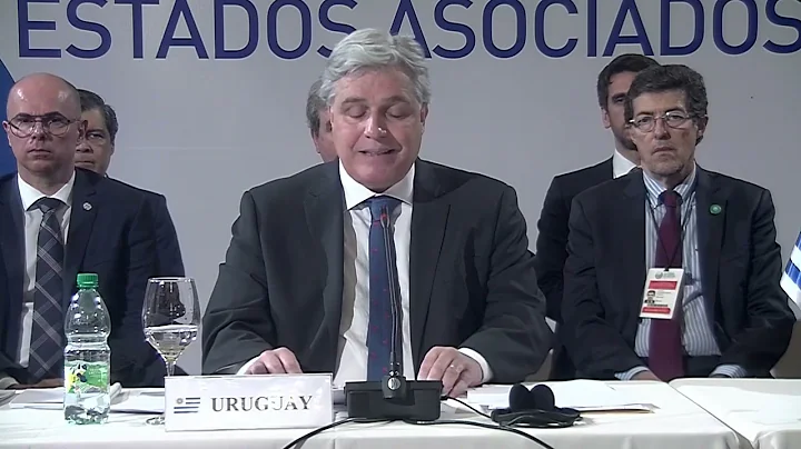 Palabras del ministro de Relaciones Exteriores de ...