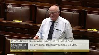 Senator Gerard Craughwell - speech from 25 Sep 2020