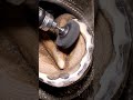 Electric Hoof Cleaning &amp; Trimming | Oddly Satisfying ASMR Sounds