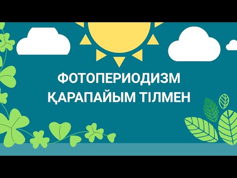 Бейне: Өсімдіктердегі жарық реакциясы дегеніміз не?