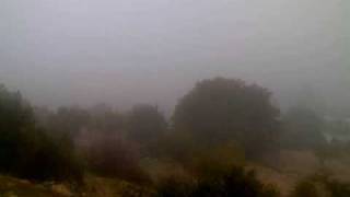 Waseem Essayed - Searching