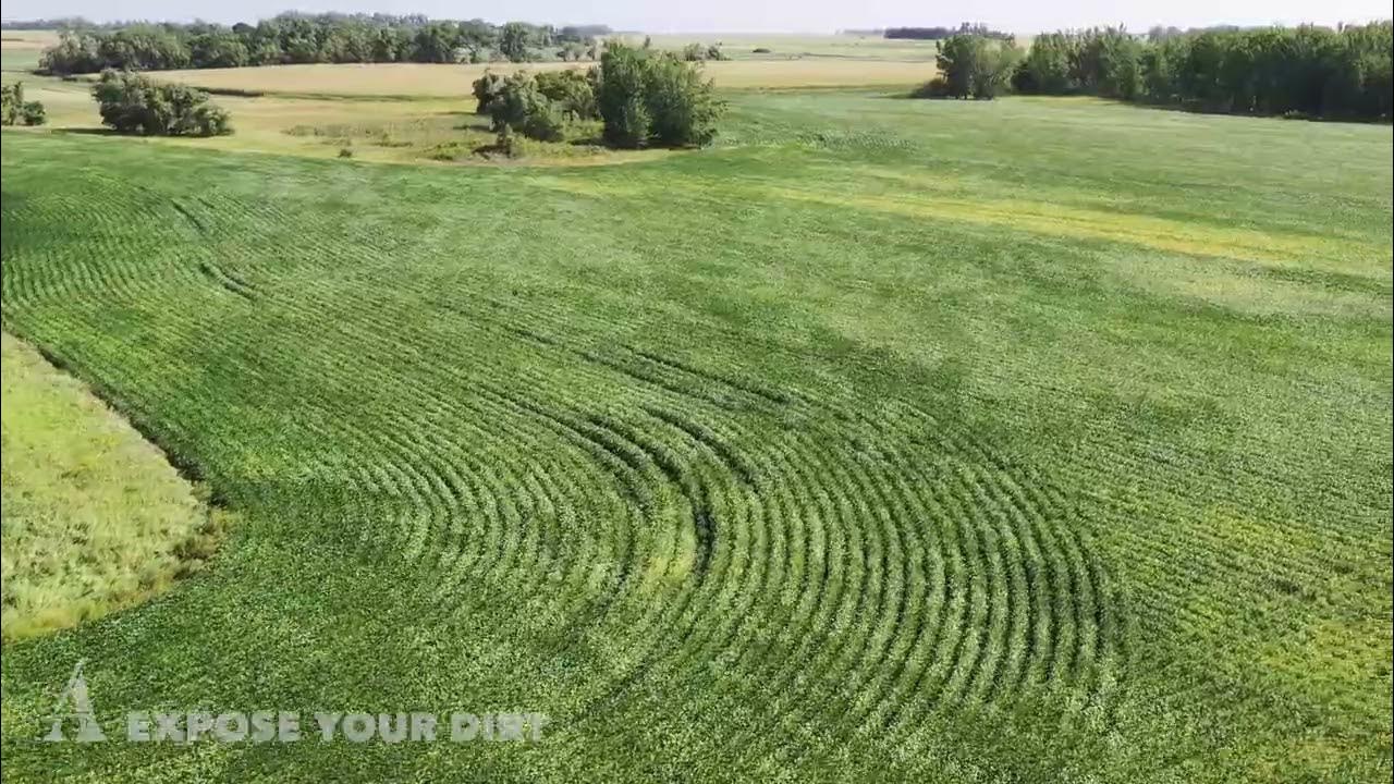 160+/ Acres of Deuel County Land For Sale YouTube