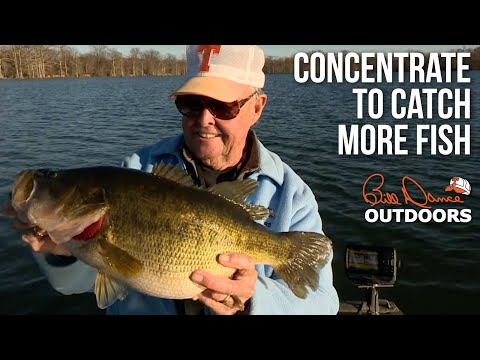 See what Bill Dance Outdoors and Bass Pro Shops are doing now!
