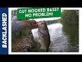 How to save a gut hooked Largemouth Bass, EASY!