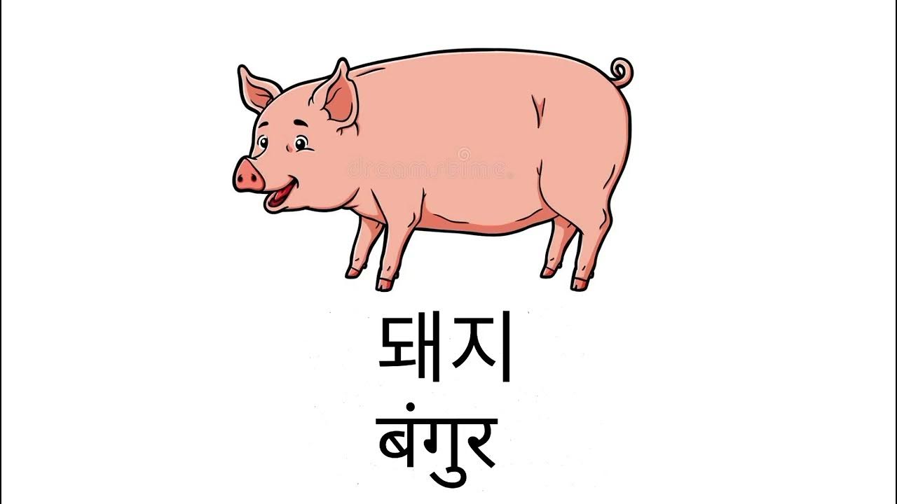 Important Korean Animals Meaning In Nepali Korean Meaning korean important-korean-animals-meaning-in-nepali-korean-meaning-korean