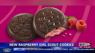 New Girl Scouts cookie flavor revealed