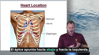 2 m9 Module 2 Lab Learning Materials Heart PL24 SISTEMA CAR2 V1 Profile