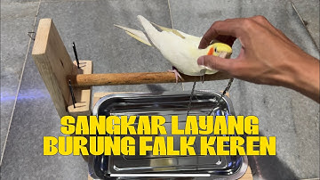 Sangkar layang burung tempel dinding yang keren dan simpel