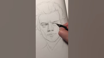 Harry Styles sketch✨