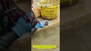 Simple Squid Fishing Technique