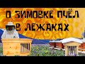 КАК ЗИМУЮТ ПЧЁЛЫ В ЛЕЖАКЕ!?